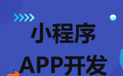 在做電(diàn)商(shāng)APP開(kāi)發時，該如何定制才會提高用戶的體(tǐ)驗